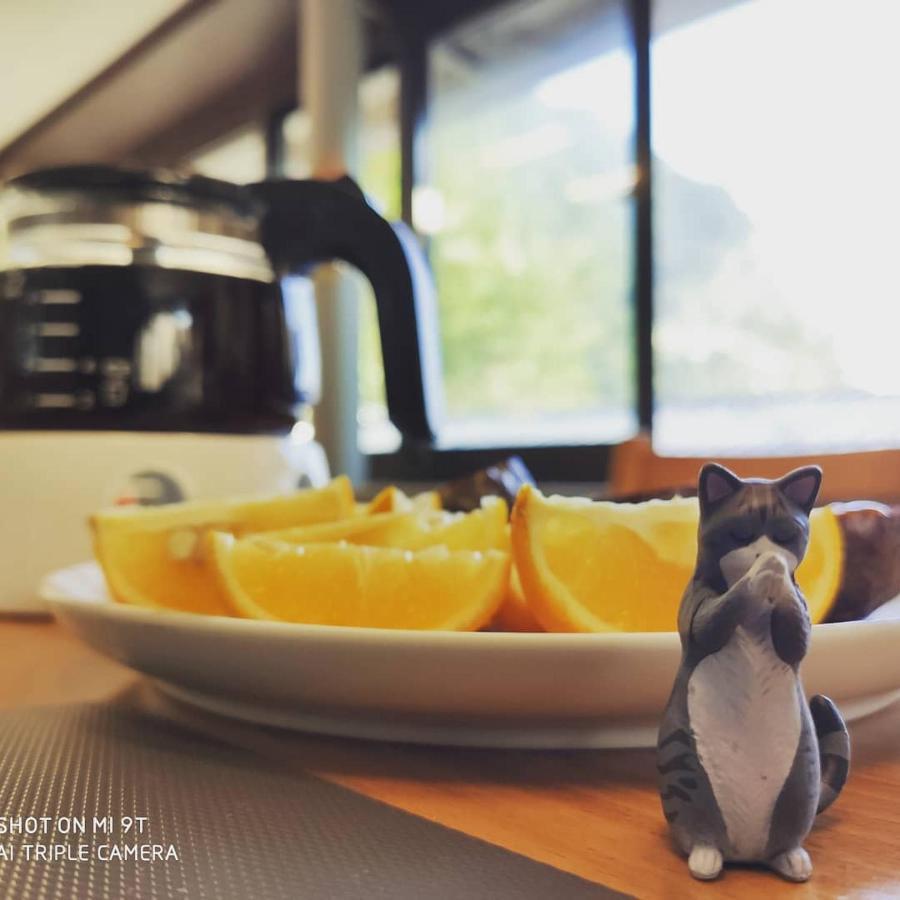 Taipei Jinguashi Cloud Mountain Homestay B&B 지우펀 외부 사진